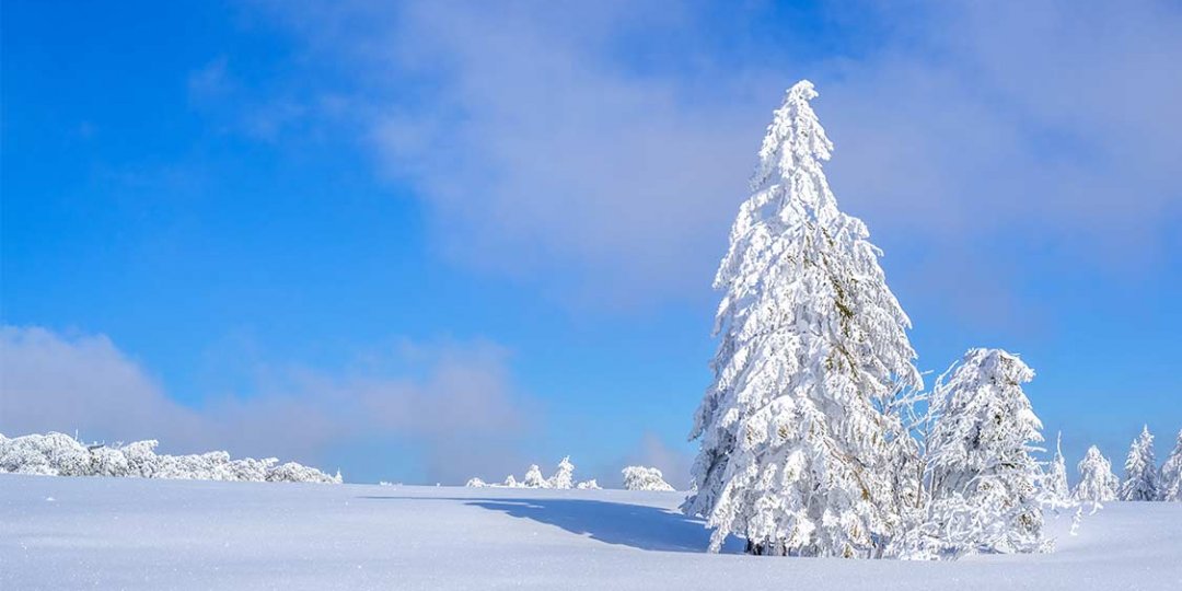 https://www.panoramic-hotel.de/wp-content/uploads/2016/12/verschneite-winterlandschaft-harz_1126x750-1080x540.jpg