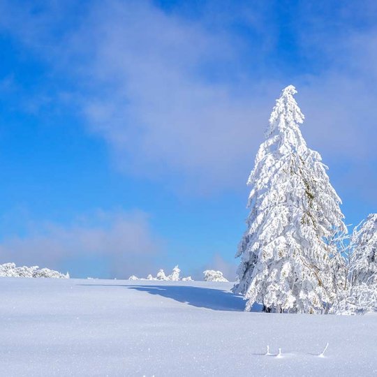 https://www.panoramic-hotel.de/wp-content/uploads/2016/12/verschneite-winterlandschaft-harz_1126x750-540x540.jpg