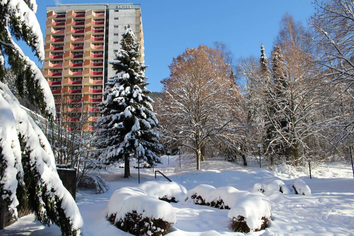 Winter im Harz - Panoramic Hotel