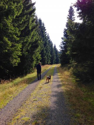 Hunde-Urlaub im Harz-Hotel Panoramic