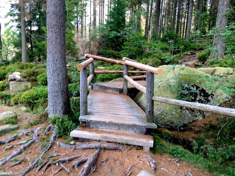 Harz single urlaub