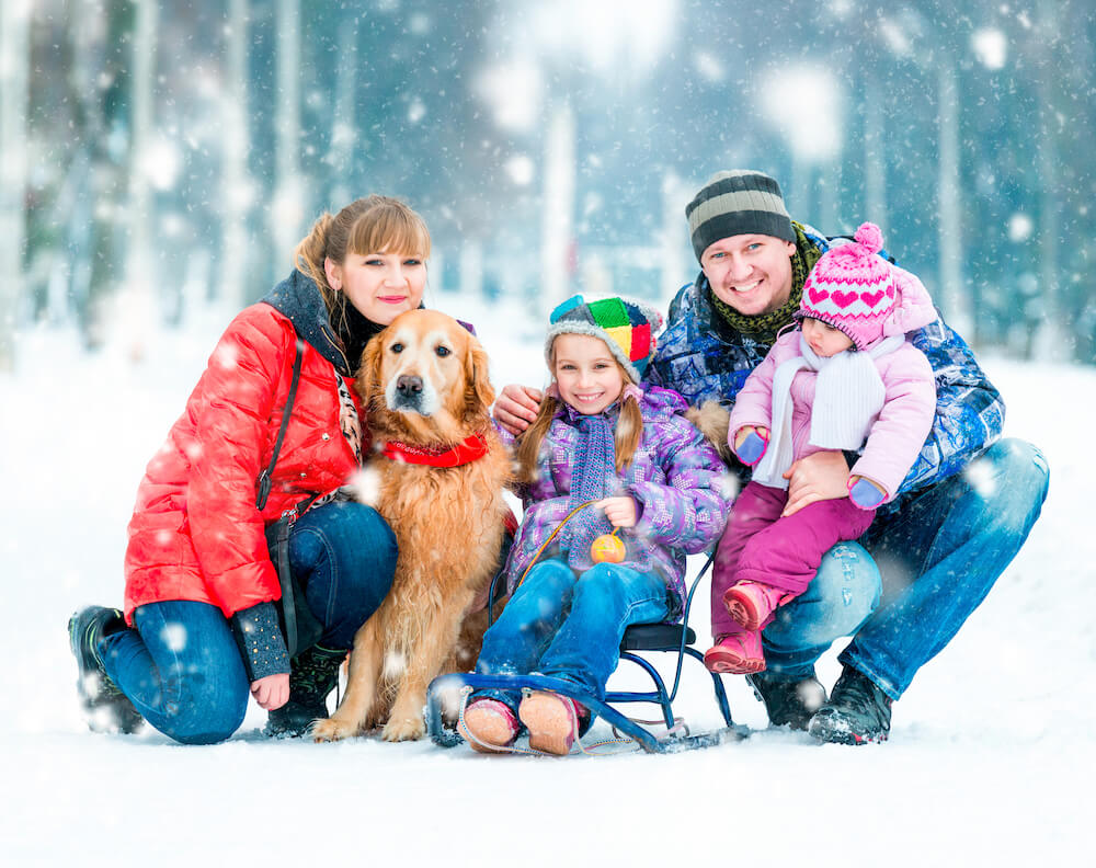 harz-winter-wohin.jpg