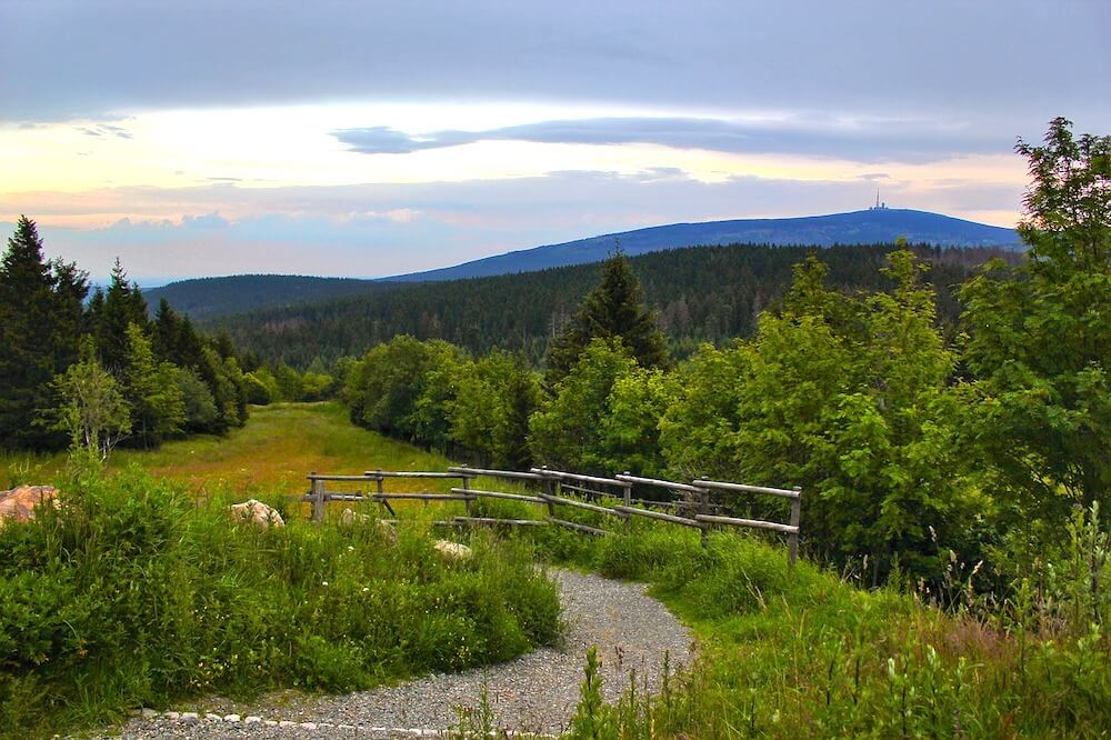 harz-wandern-kinder.jpg