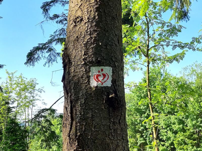 liebesbankweg-harz.jpg