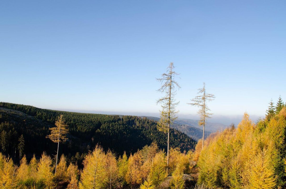 last-minute-urlaub-harz-1200x794.jpg