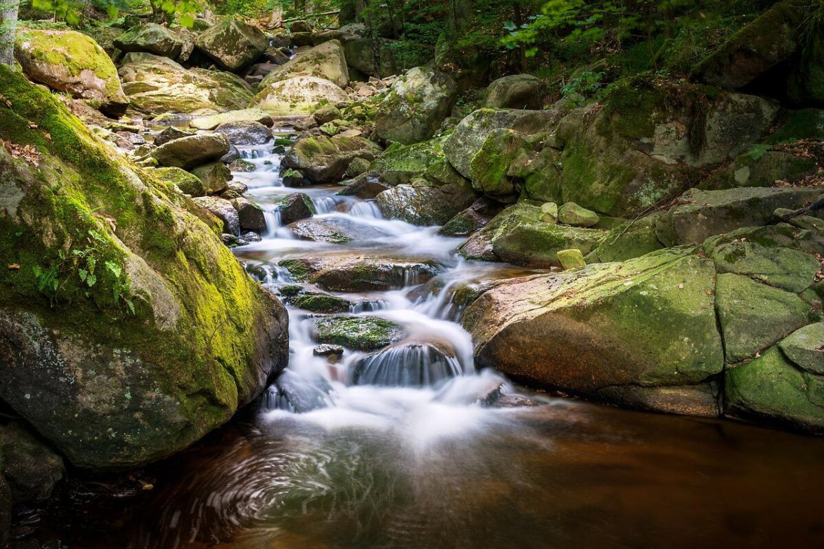 nationalpark-harz-urlaub-1200x800.jpg