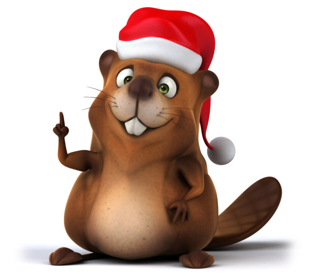 Panoramic Biber Maskottchen Weihnachten