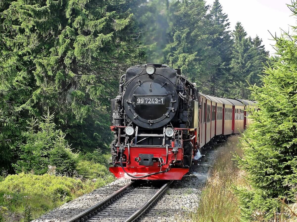 harz-erlebnisse-kinder.jpg