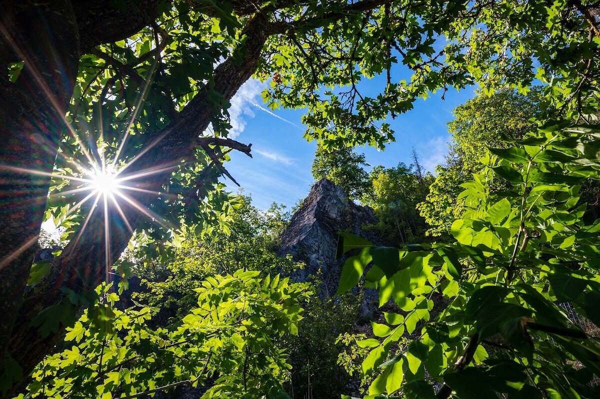 harz-oder-eifel.jpg