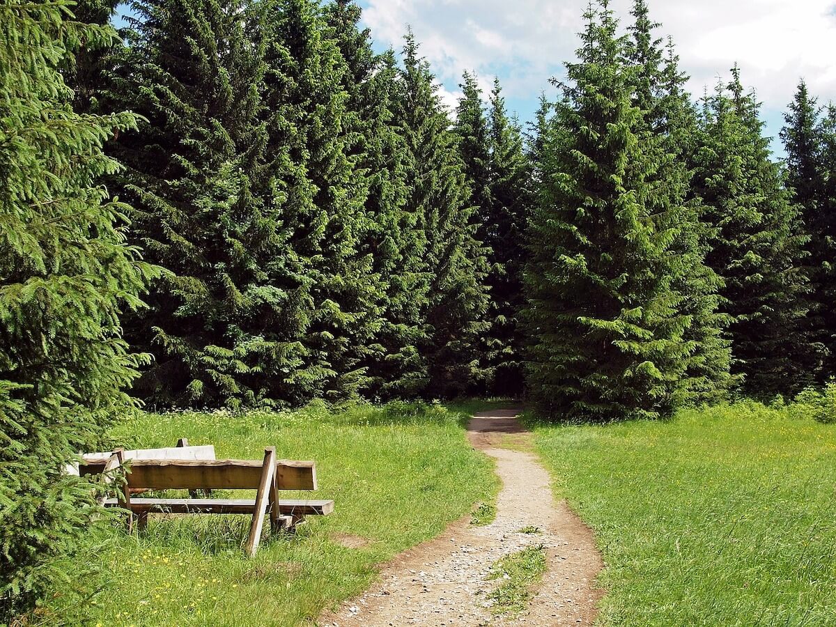 Wanderungen für Senioren im Harz