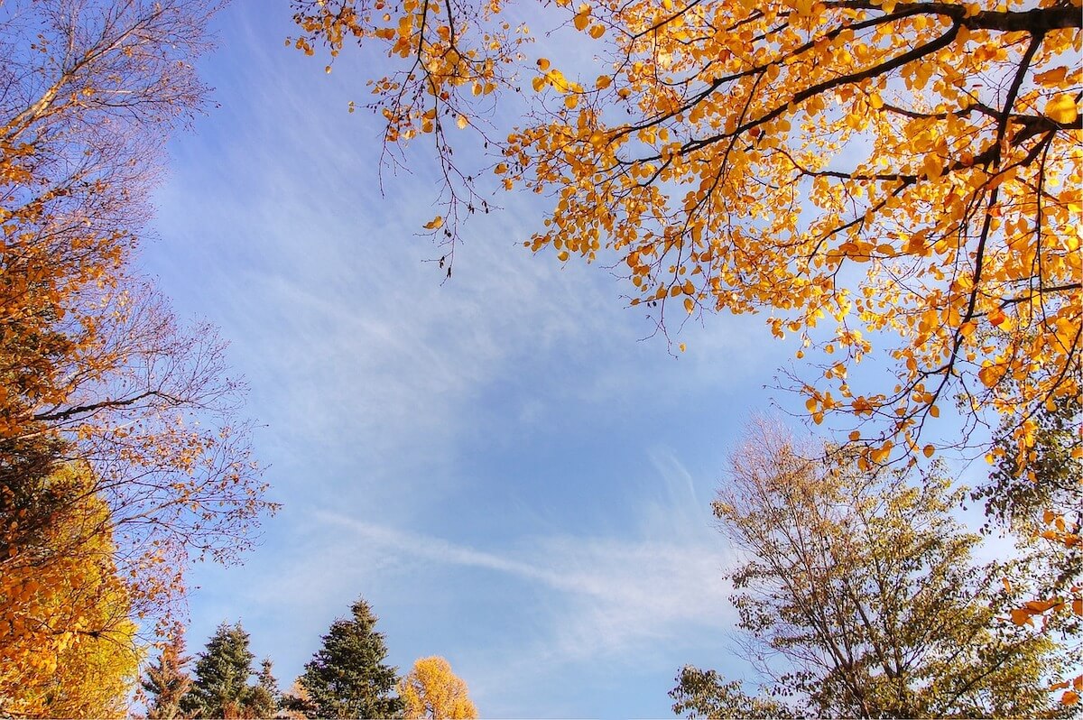 harz-urlaub-oktober.jpg