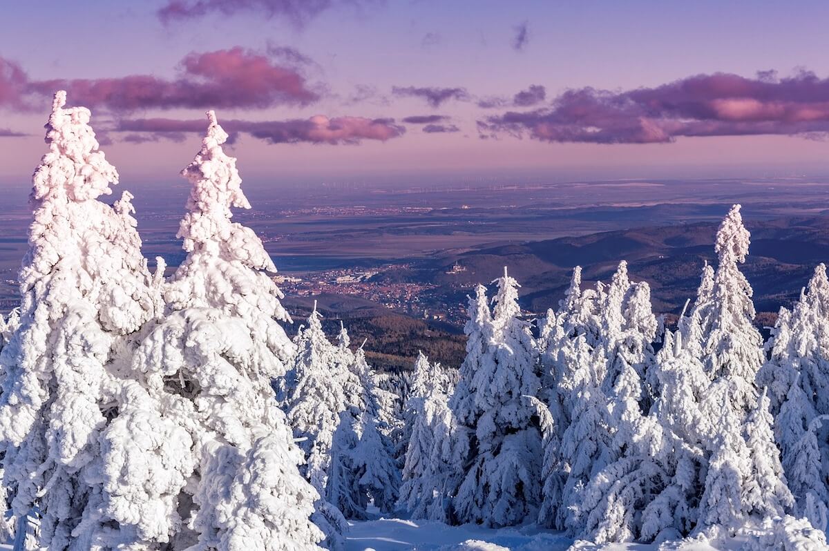 skihalle-harz.jpg