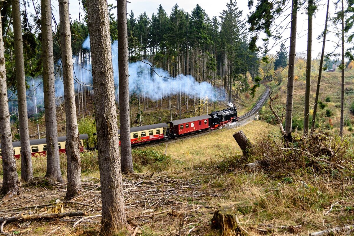 harz-oder-schwarzwald-1200x800.jpg