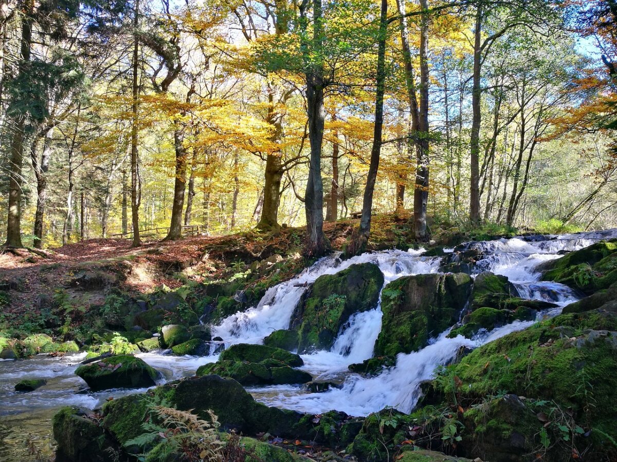 typisch-harz-1200x900.jpg