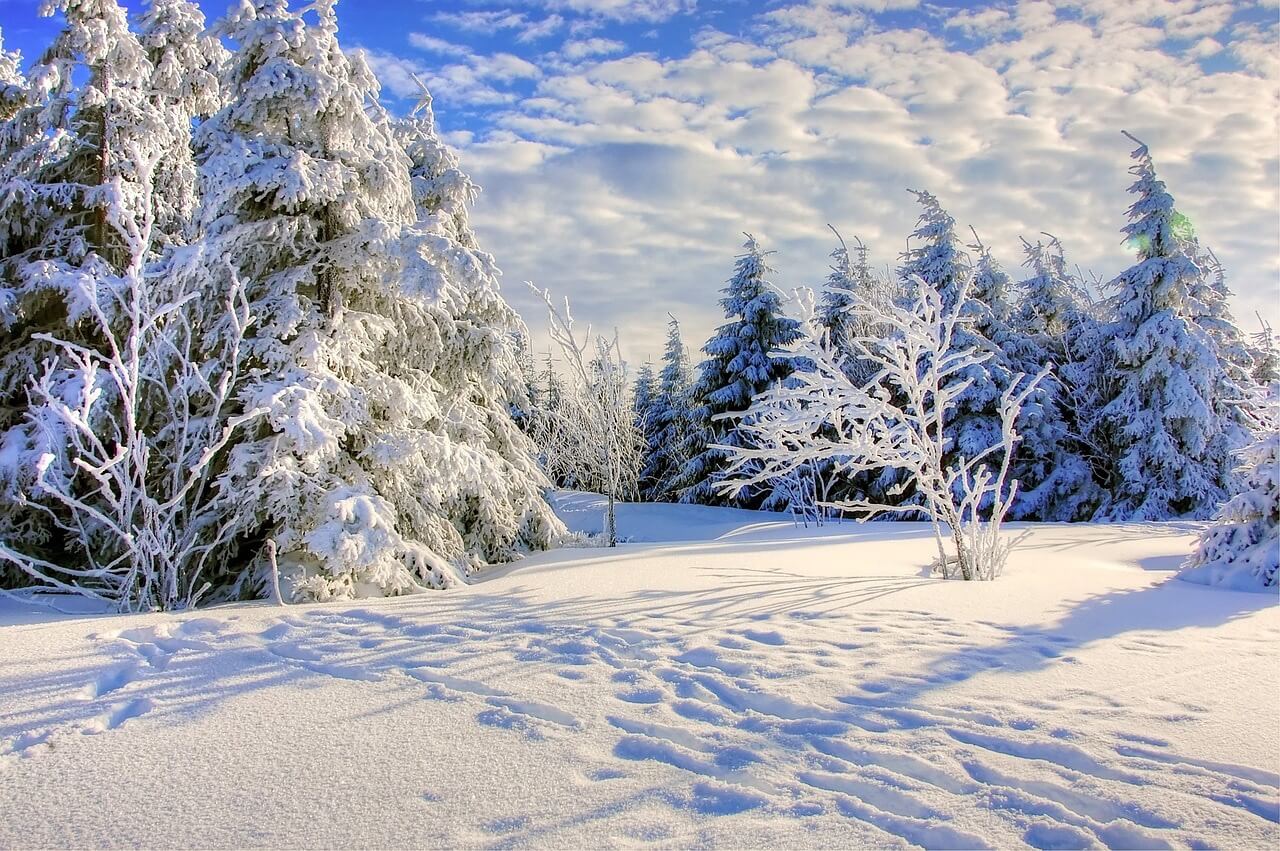 Die besten Winteraktivitäten im Harz