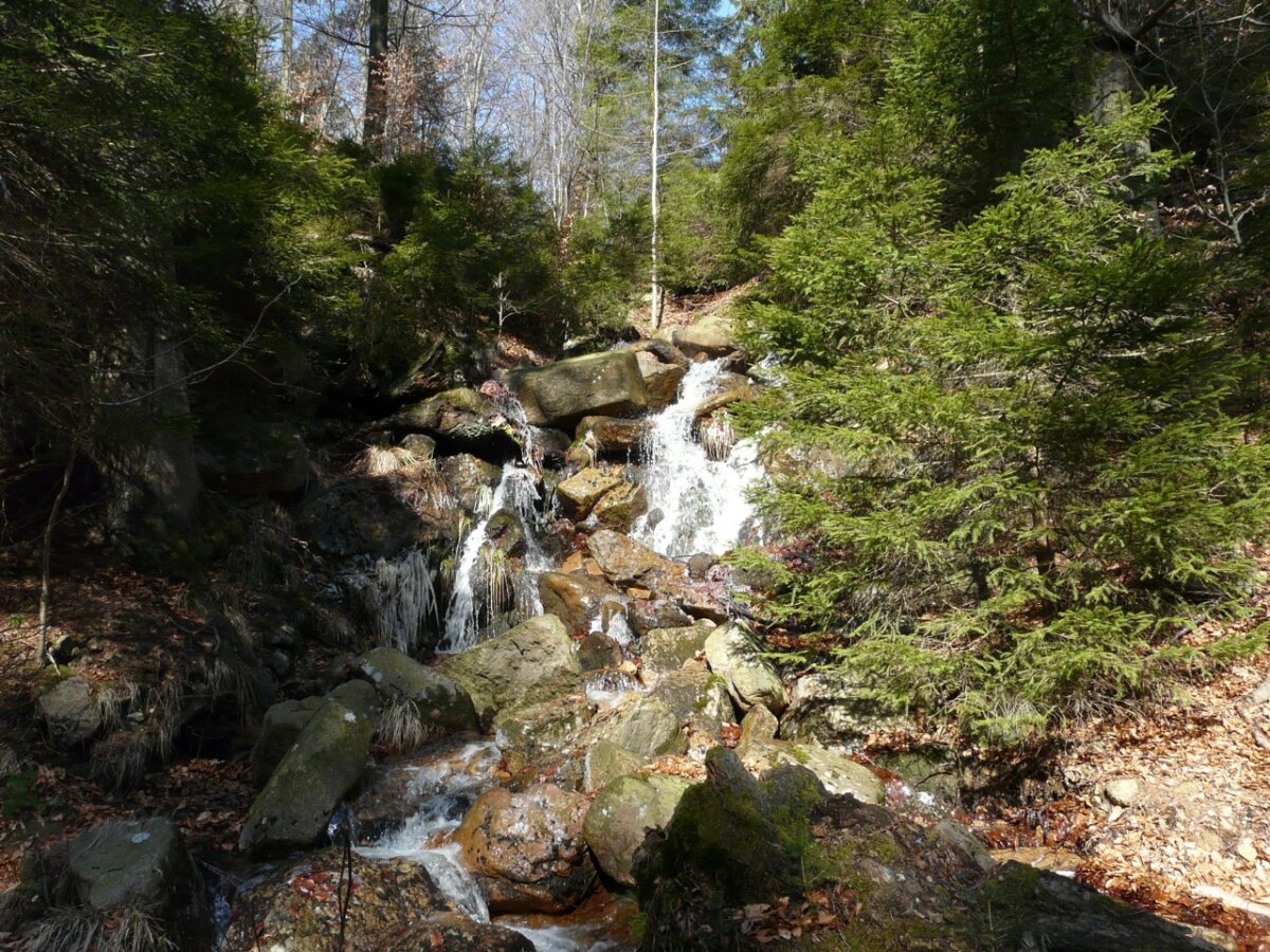 auszeit-harz-1200x900.jpeg