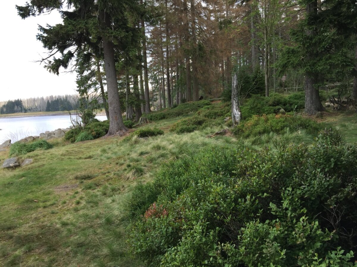 harz-september-urlaub-1200x900.jpeg