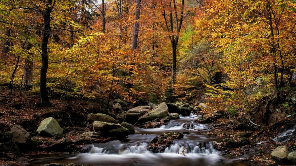 indian-summer-harz-1200x675.jpeg